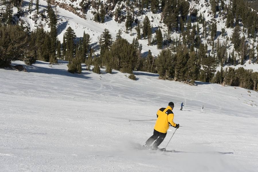 Skis