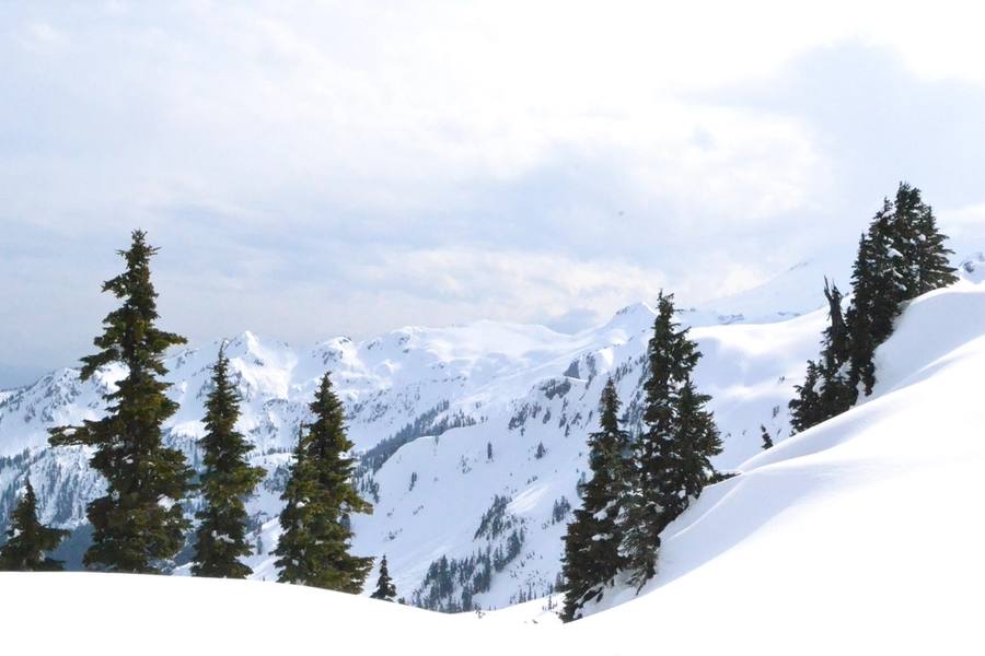 Safety & Backcountry